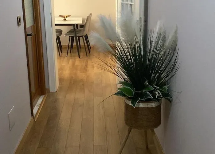 Cosy Appartments Apartament *